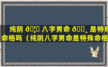 纯阴 🦋 八字男命 🕸 是特殊命格吗（纯阴八字男命是特殊命格吗为什么）